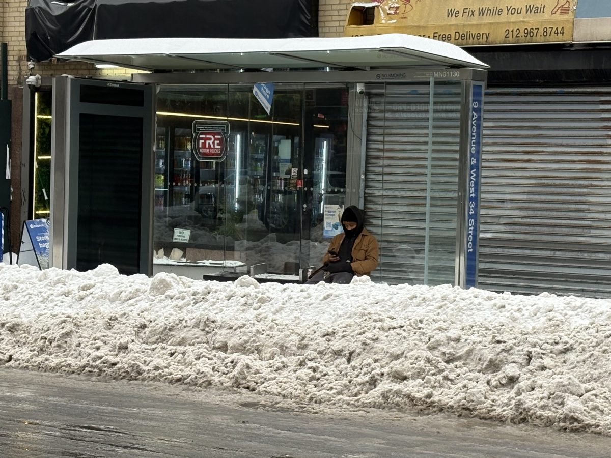 Why not clear the sidewalk?