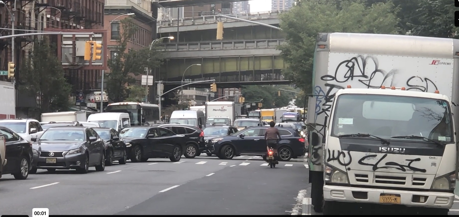 MANHATTAN HEARINGS visual data 5